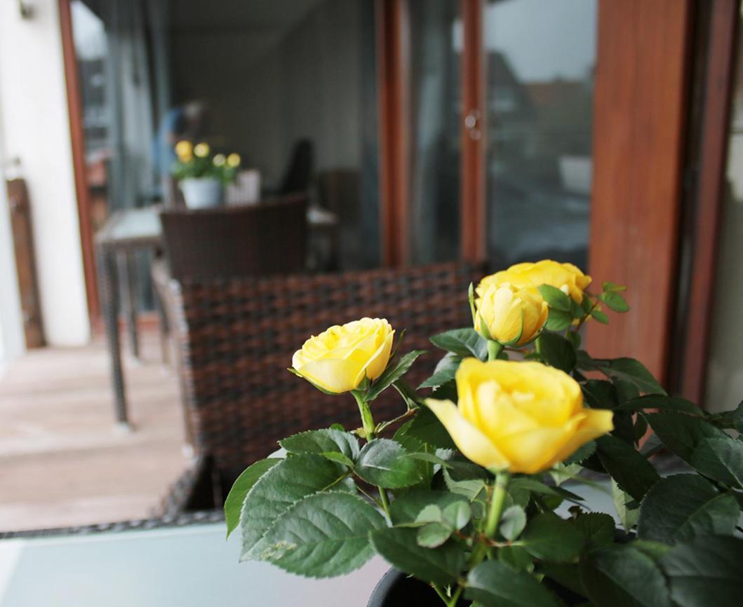 Messe- Und Gaestezimmer Hildesheim Harsum Ngoại thất bức ảnh